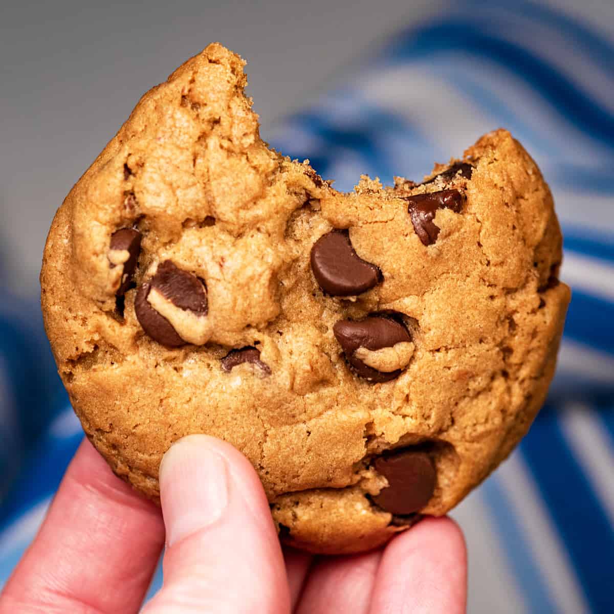 Single chocolate chip cookie with a bite out of it.