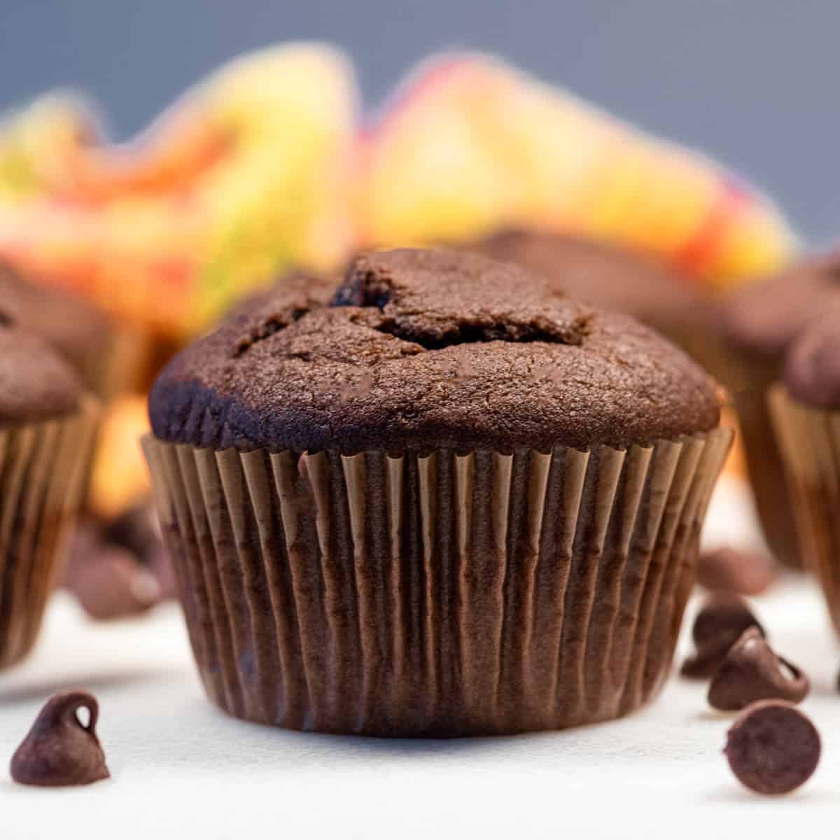 A single vegan double chocolate muffin.