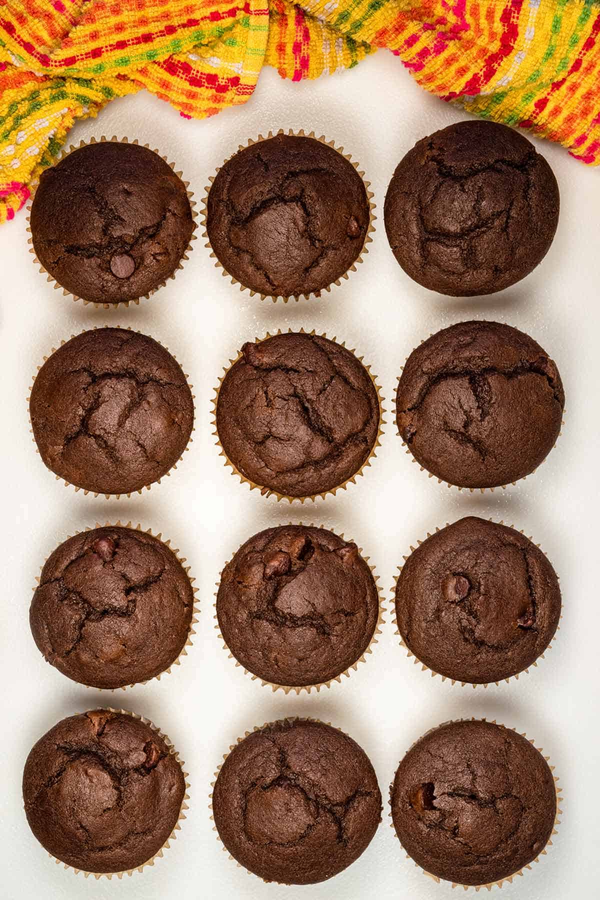 A dozen vegan double chocolate muffins.
