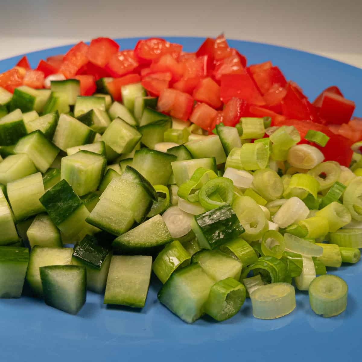 Diced cucumber, scallions, and tomatoes on a plate.