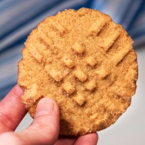 Single vegan peanut butter cookie upclose.