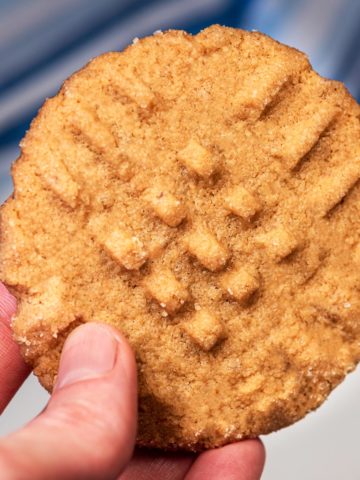 Single vegan peanut butter cookie upclose.