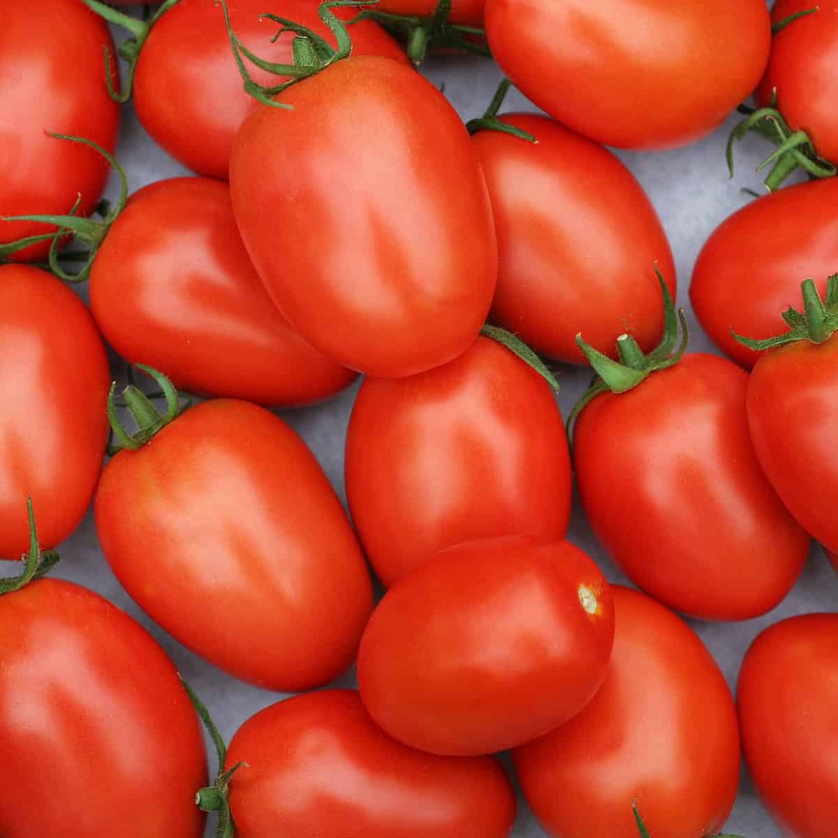 A bunch of roma tomatoes on a counter.