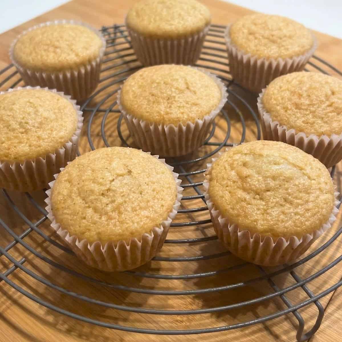 Vegan vanilla cupcakes on a cooling rack.