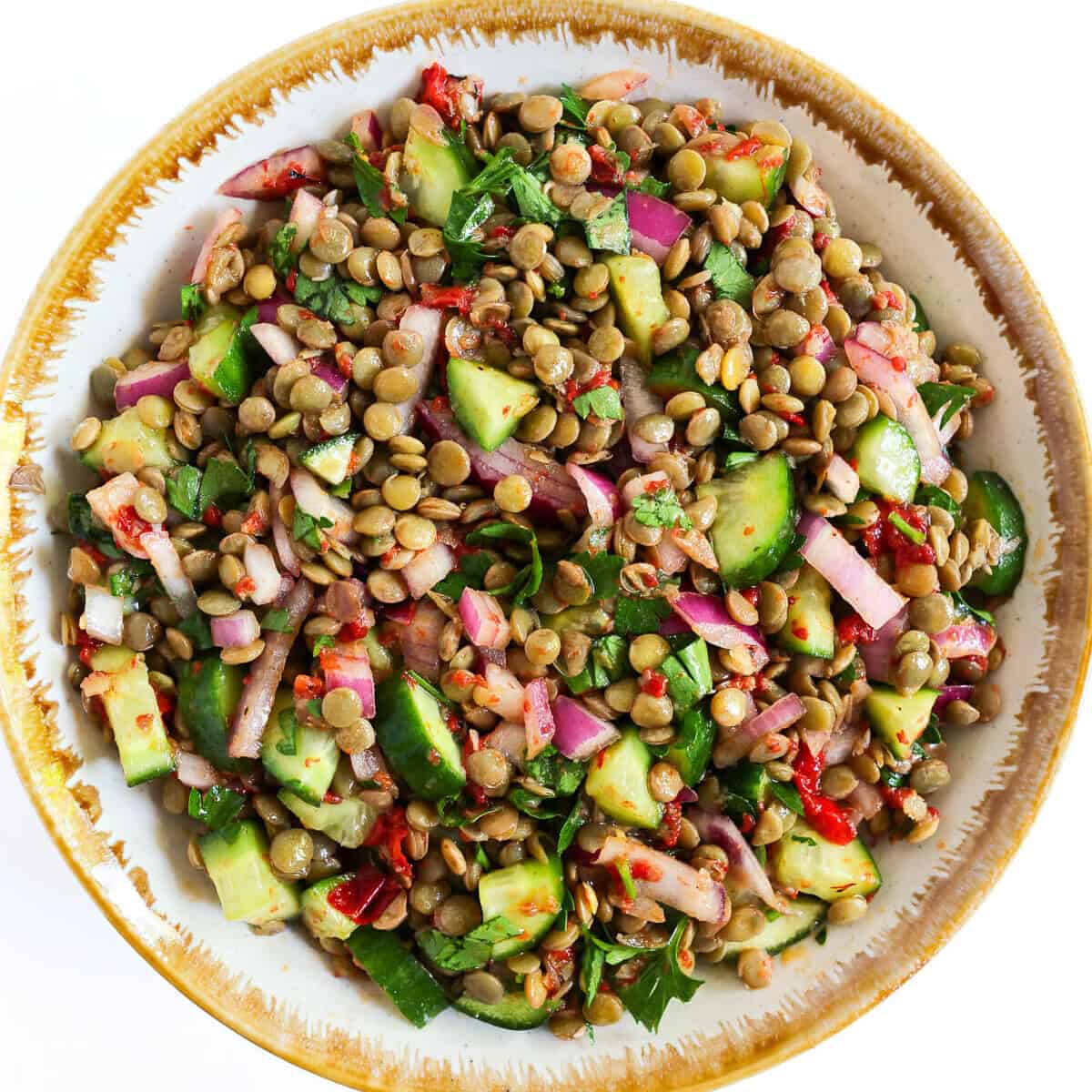 A dish of middle eastern lentil salad.