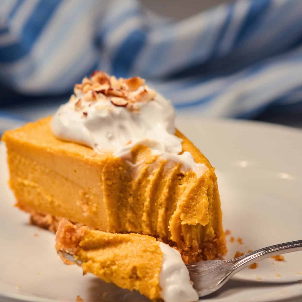Slice of no-bake vegan pumpkin cheesecake with a graham cracker crust, whipped topping, chopped pecans, and a forkful in the foreground.